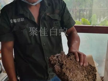 仓库物资白蚁治理