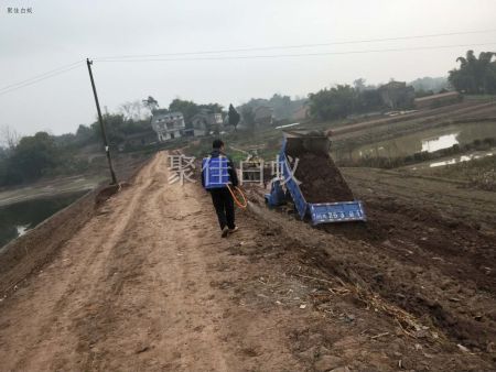 水库堤坝白蚁防治 (1)