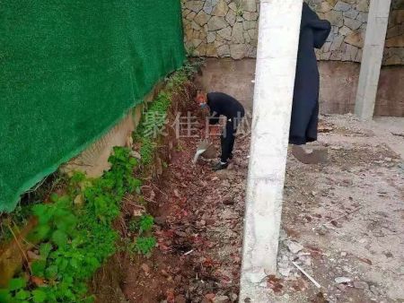 房屋装修预防白蚁 (1)