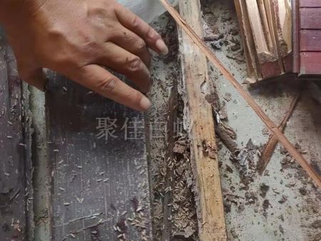 重庆家居灭白蚁 (10) 重庆家居灭白蚁 (10)