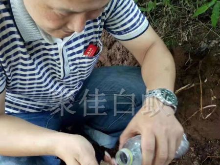 白蚁挖巢治理 (10)