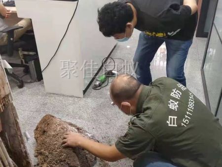 仓库物资白蚁治理