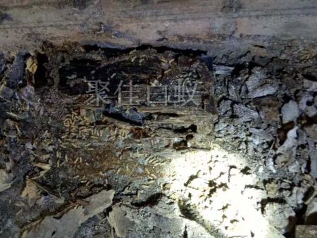 仓库物资白蚁治理