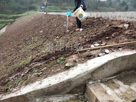 水库堤坝白蚁防治 (5)