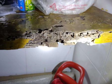 仓库物资白蚁治理