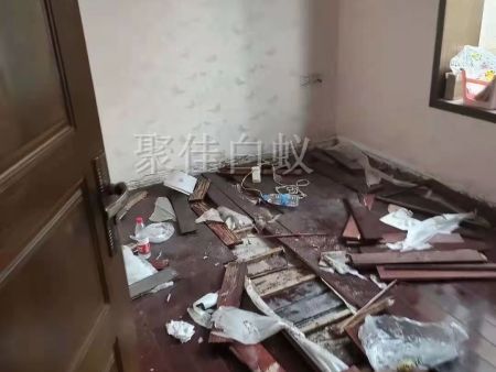 仓库物资白蚁治理