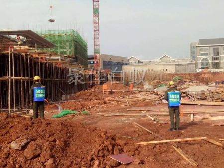 建筑场地白蚁防治 (10)