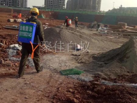 建筑场地白蚁防治 (11)