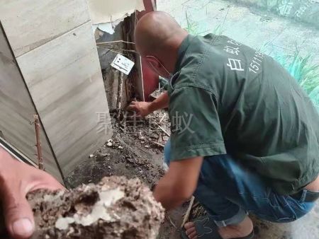 重庆家居灭白蚁 (16) 重庆家居灭白蚁 (16)