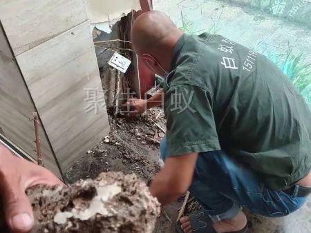 仓库物资白蚁治理