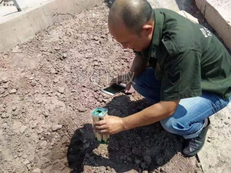 仓库物资白蚁治理