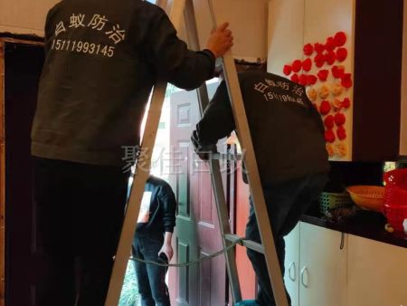 重庆家居灭白蚁 (13) 重庆家居灭白蚁 (13)