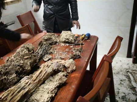 重庆家居灭白蚁 (2) 重庆家居灭白蚁 (2)