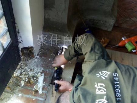 仓库物资白蚁治理