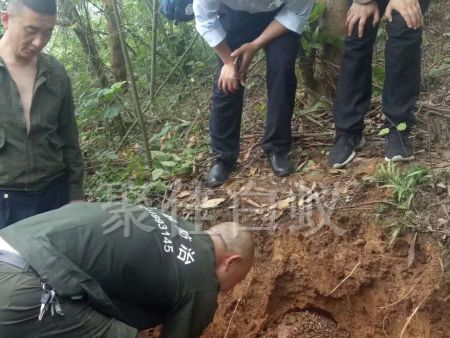 白蚁挖巢治理 (18)