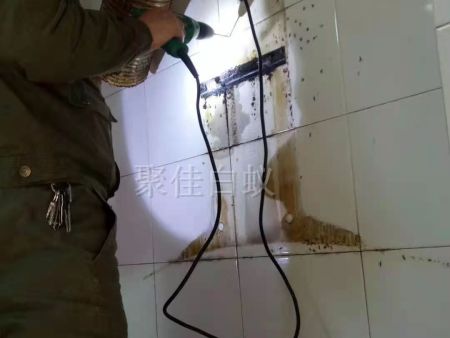 重庆家居灭白蚁 (20) 重庆家居灭白蚁 (20)