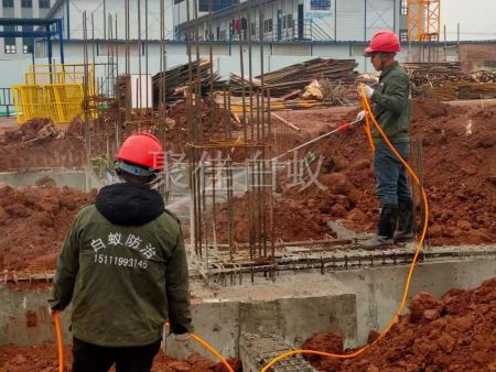 建筑场地白蚁防治 (2)