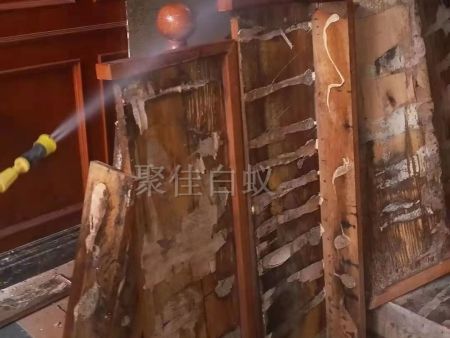 重庆家居灭白蚁 (14) 重庆家居灭白蚁 (14)