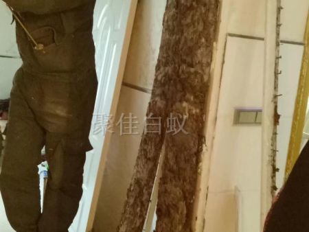 重庆家居灭白蚁 (5) 重庆家居灭白蚁 (5)