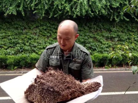 重庆家居灭白蚁 (3) 重庆家居灭白蚁 (3)