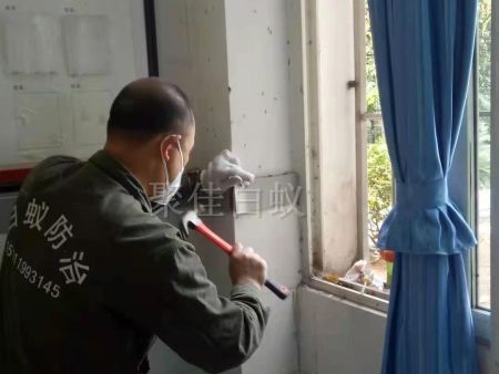 重庆家居灭白蚁 (23) 重庆家居灭白蚁 (23)