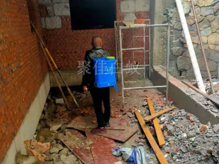 房屋装修预防白蚁 (6)