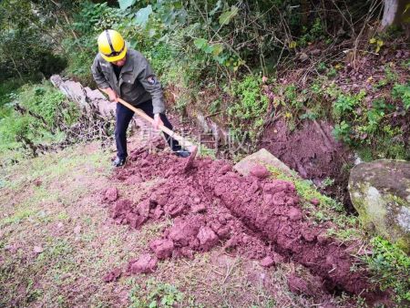 水库堤坝白蚁防治 (8)