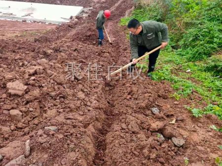 水库堤坝白蚁防治 (11)
