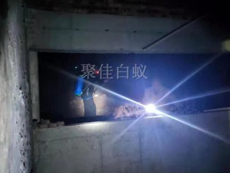 房屋装修预防白蚁 (11)