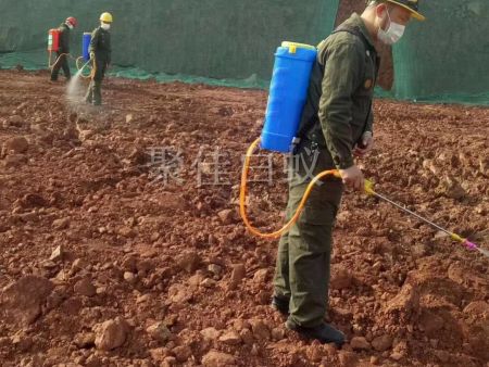 建筑场地白蚁防治 (13)