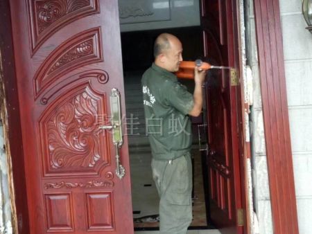 重庆家居灭白蚁 (8) 重庆家居灭白蚁 (8)