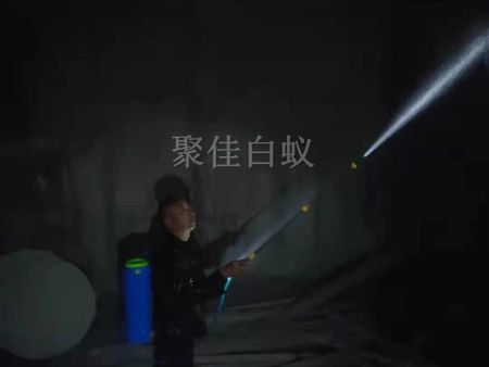 房屋装修预防白蚁 (13)