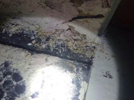 仓库物资白蚁治理