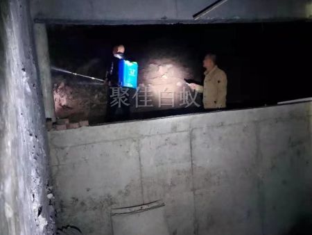 房屋装修预防白蚁 (10)