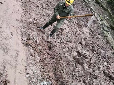 水库堤坝白蚁防治 (10)