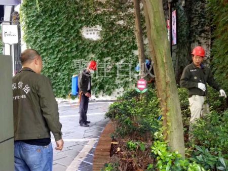 园林树木白蚁防治 (2)