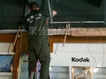 仓库物资白蚁治理