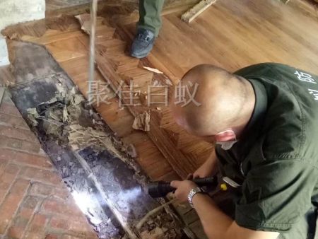 仓库物资白蚁治理