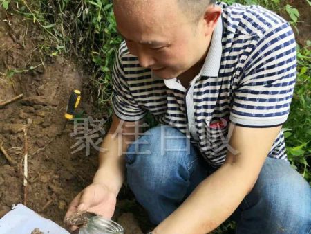 白蚁挖巢治理 (21)