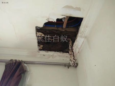 仓库物资白蚁治理