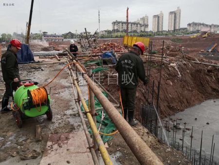 建筑场地白蚁防治 (8)