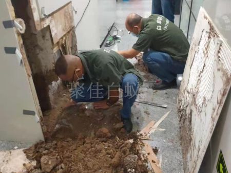 重庆家居灭白蚁 (24) 重庆家居灭白蚁 (24)