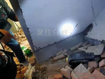 房屋装修预防白蚁 (7)