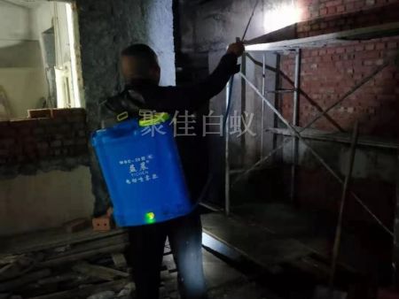 房屋装修预防白蚁 (12)