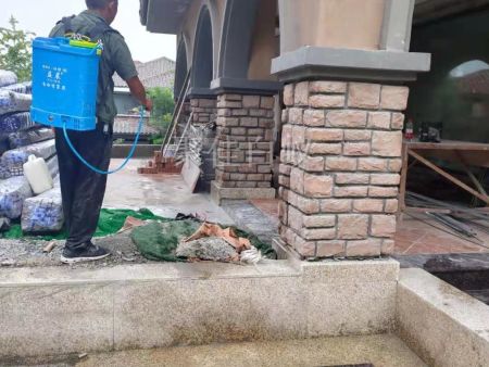 房屋装修预防白蚁 (2)