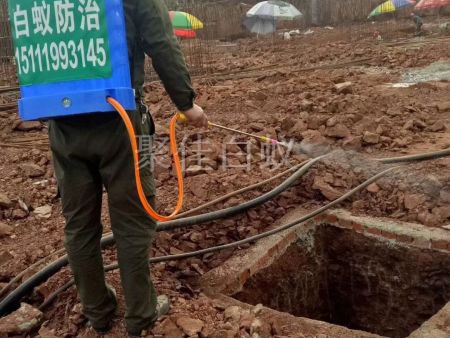 建筑场地白蚁防治 (14)