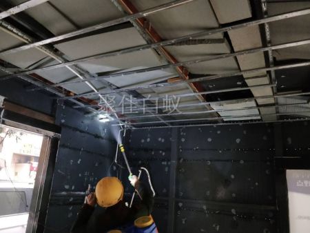 仓库物资白蚁治理