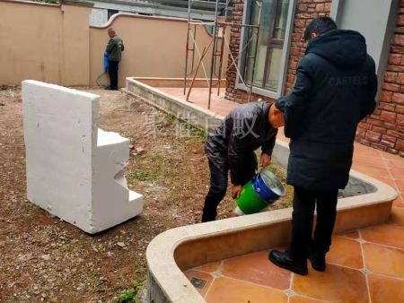 房屋装修预防白蚁 (5)