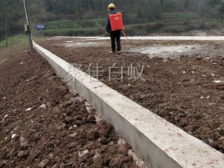 水库堤坝白蚁防治 (4)