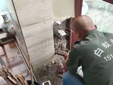 重庆家居灭白蚁 (19) 重庆家居灭白蚁 (19)